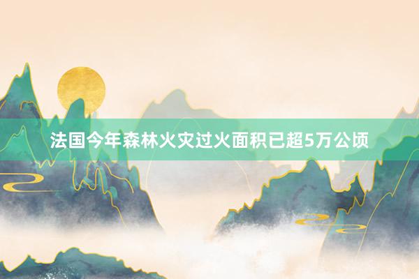 法国今年森林火灾过火面积已超5万公顷