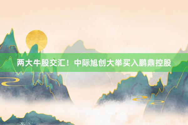 两大牛股交汇！中际旭创大举买入鹏鼎控股