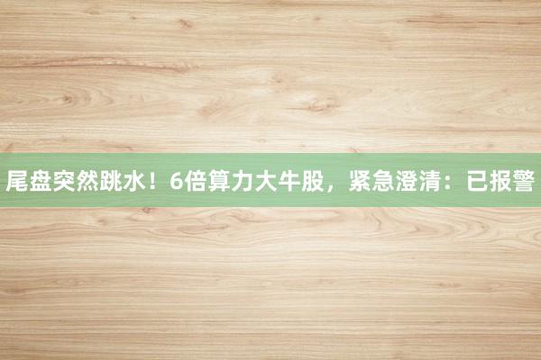 尾盘突然跳水！6倍算力大牛股，紧急澄清：已报警