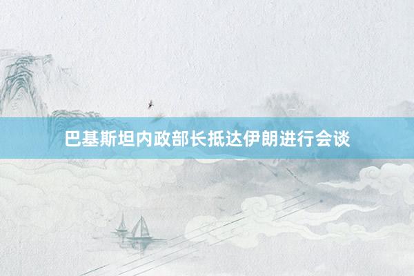 巴基斯坦内政部长抵达伊朗进行会谈