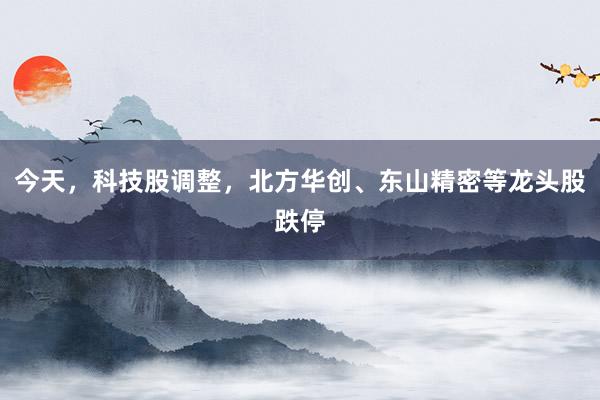今天，科技股调整，北方华创、东山精密等龙头股跌停