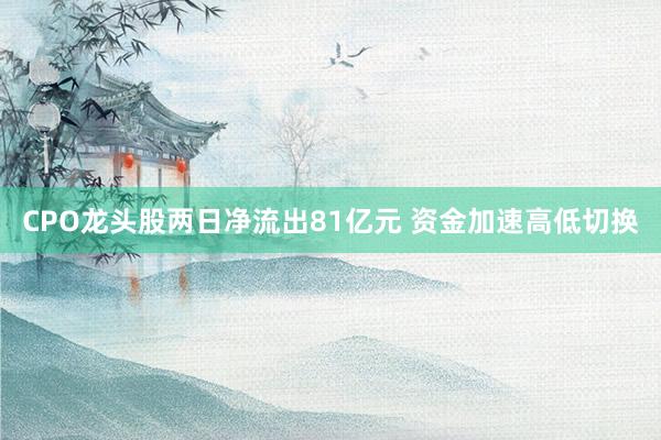 CPO龙头股两日净流出81亿元 资金加速高低切换
