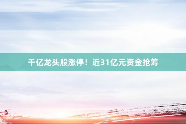 千亿龙头股涨停！近31亿元资金抢筹