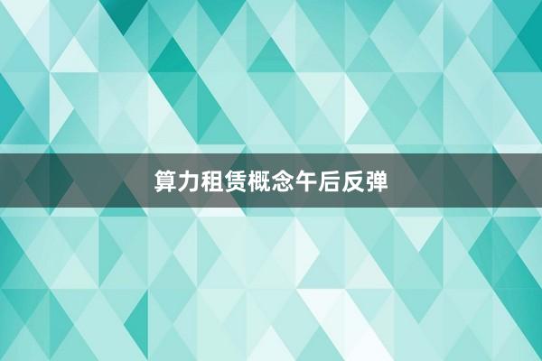 算力租赁概念午后反弹