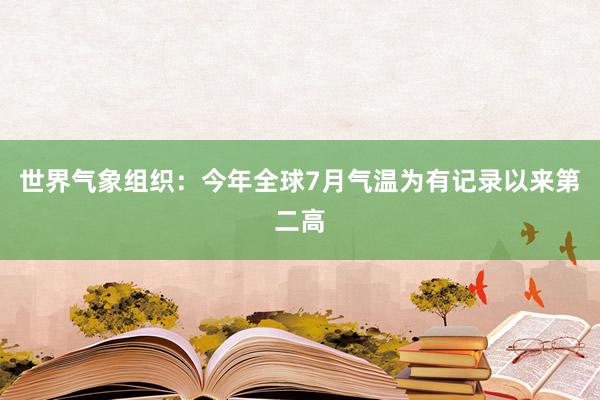 世界气象组织：今年全球7月气温为有记录以来第二高