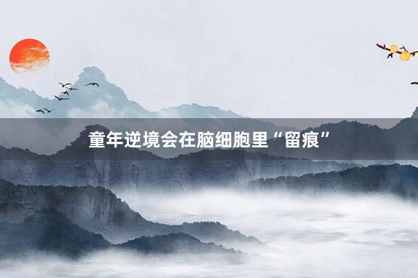 童年逆境会在脑细胞里“留痕”