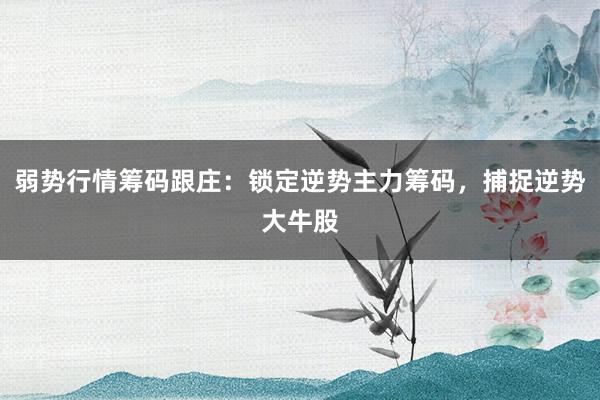 弱势行情筹码跟庄：锁定逆势主力筹码，捕捉逆势大牛股