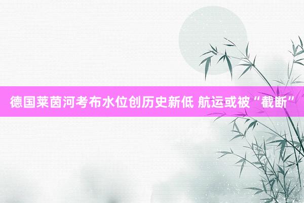 德国莱茵河考布水位创历史新低 航运或被“截断”