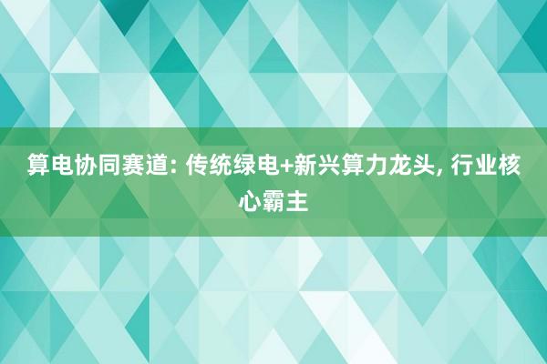 算电协同赛道: 传统绿电+新兴算力龙头, 行业核心霸主