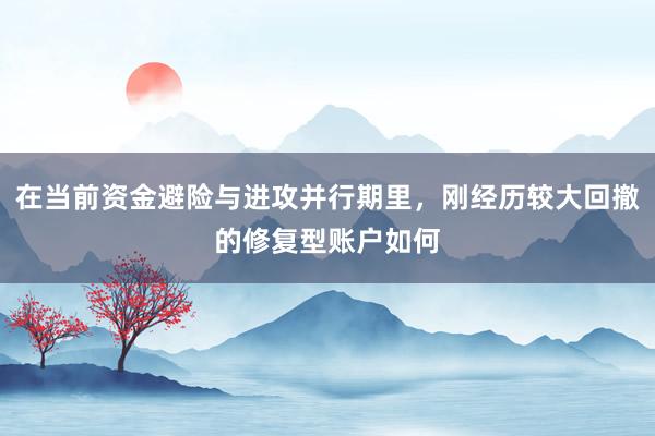 在当前资金避险与进攻并行期里，刚经历较大回撤的修复型账户如何