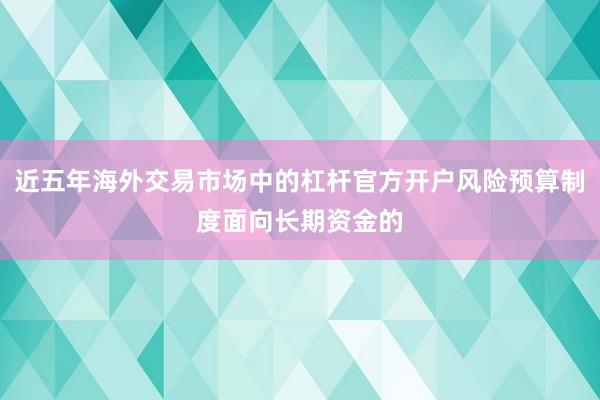 近五年海外交易市场中的杠杆官方开户风险预算制度面向长期资金的