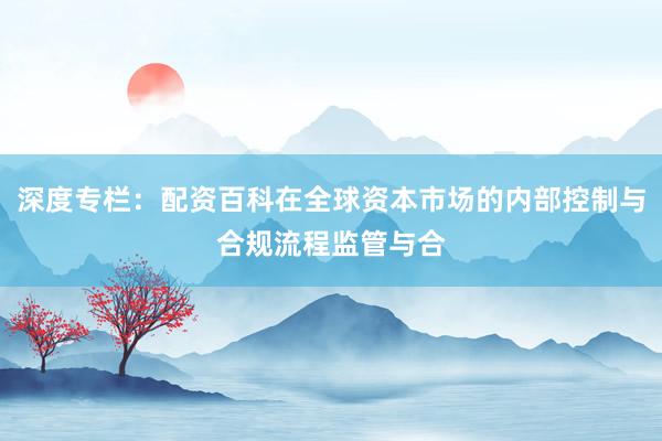 深度专栏：配资百科在全球资本市场的内部控制与合规流程监管与合