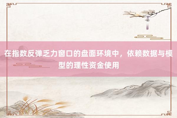 在指数反弹乏力窗口的盘面环境中，依赖数据与模型的理性资金使用