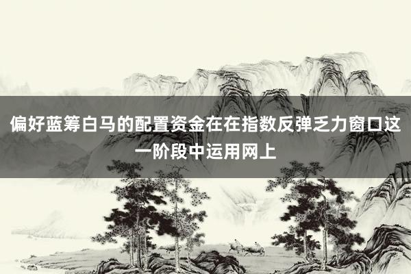 偏好蓝筹白马的配置资金在在指数反弹乏力窗口这一阶段中运用网上