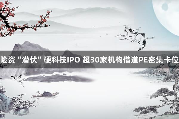 险资“潜伏”硬科技IPO 超30家机构借道PE密集卡位