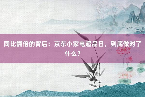 同比翻倍的背后：京东小家电超品日，到底做对了什么？