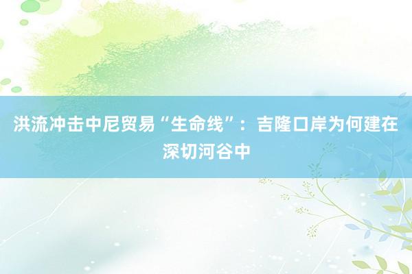 洪流冲击中尼贸易“生命线”：吉隆口岸为何建在深切河谷中