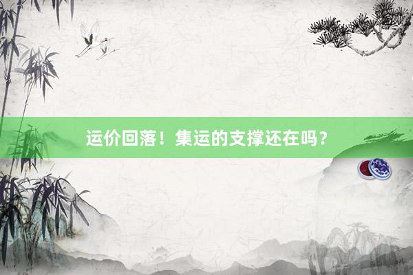 运价回落！集运的支撑还在吗？