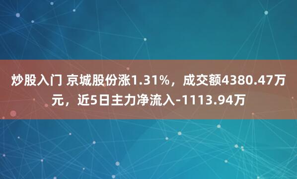 炒股入门 京城股份涨1.31%，成交额4380.47万元，近5日主力净流入-1113.94万