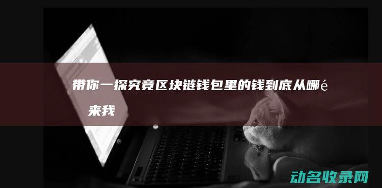 带你一探究竟 区块链钱包里的钱到底从哪里来 (我想看一探究竟)